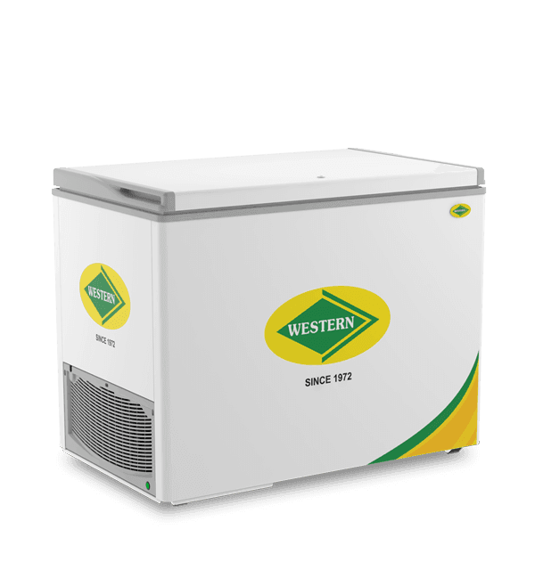 Western 343 Ltr Chest Freezer/Chiller (NWHD325HSD-HC)