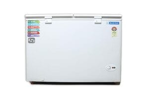 Bluestar Double Door  Deep Freezer 360 L