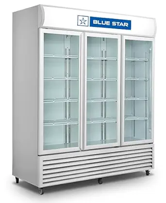 Bluestar Visi Coolers 1075 L