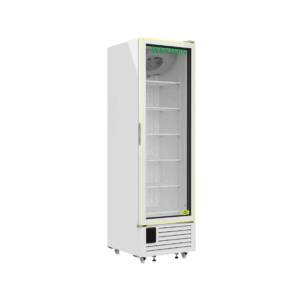 Western 467 Liter Single Glass Door Vertical Freezer (SRF555HC-GLI)