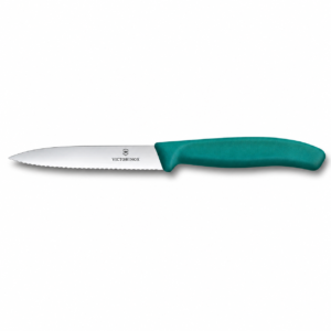 Victorinox Swiss Classic Paring Knife – 10 cm (6.7734.C1)